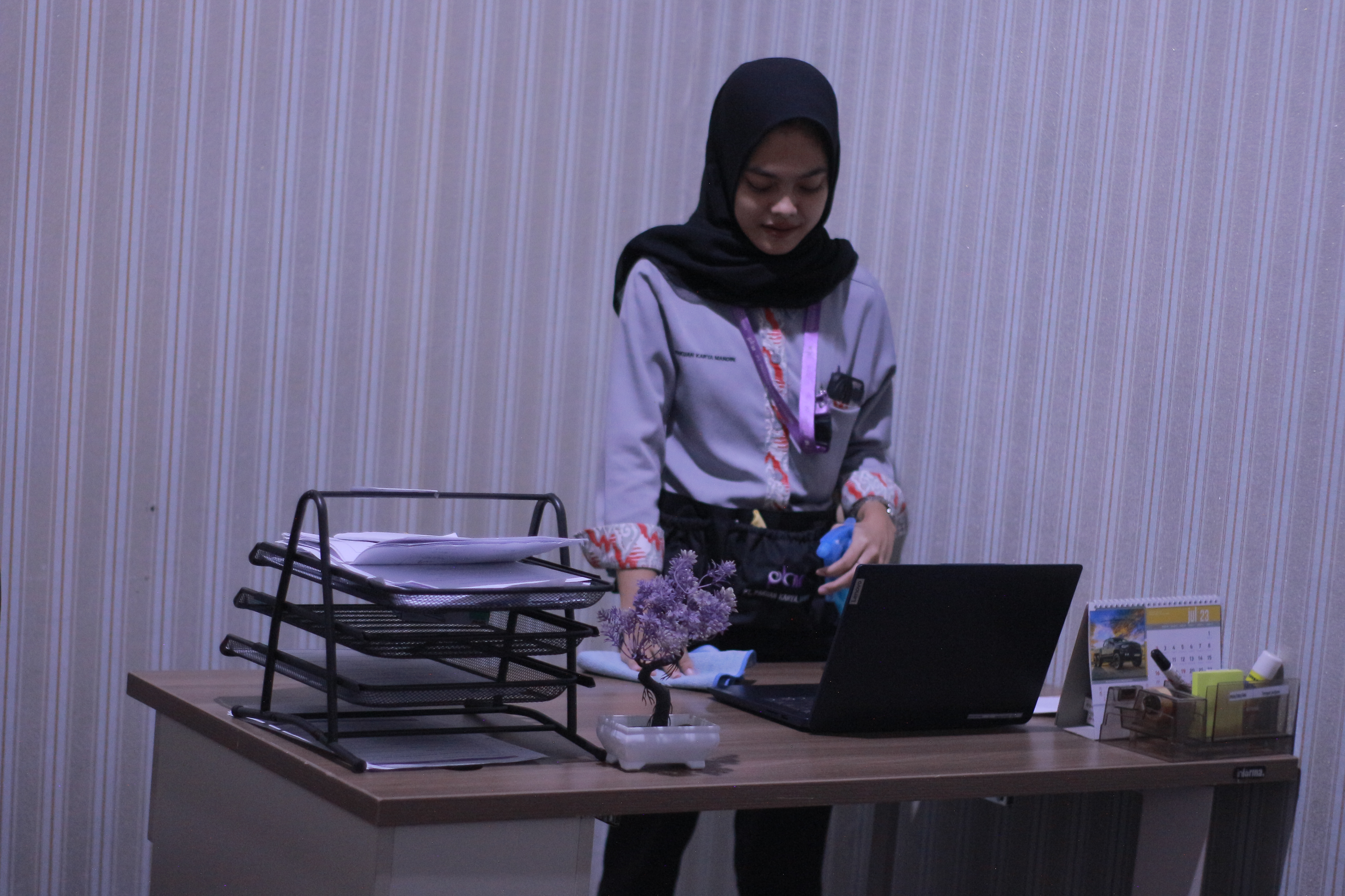 Cleaning Service Image 2